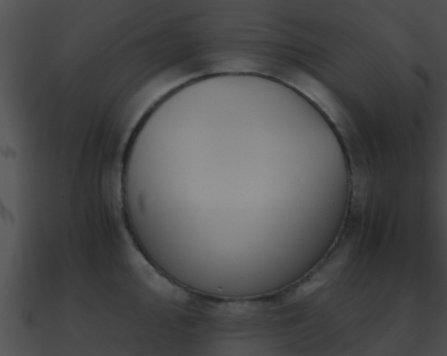 X0000090861000200708030944