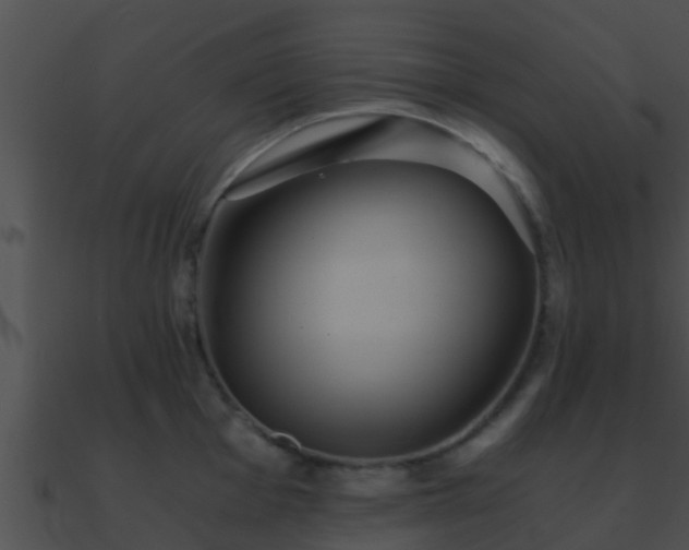 X0000090861001200708030944