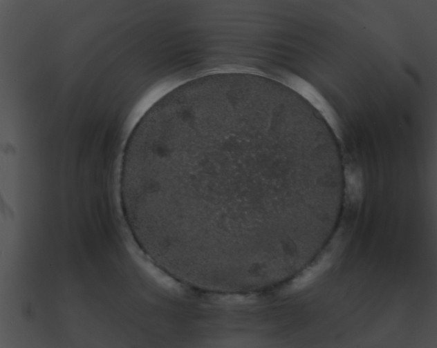 X0000090861002200708030944