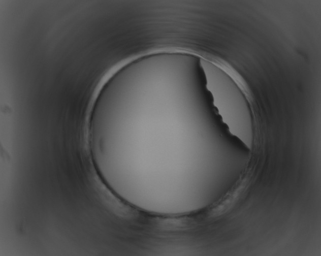 X0000090861004200708030944