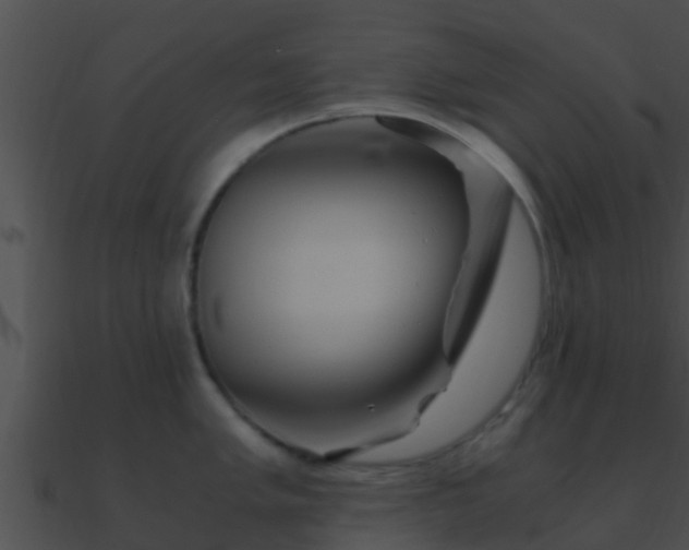 X0000090861005200708030944
