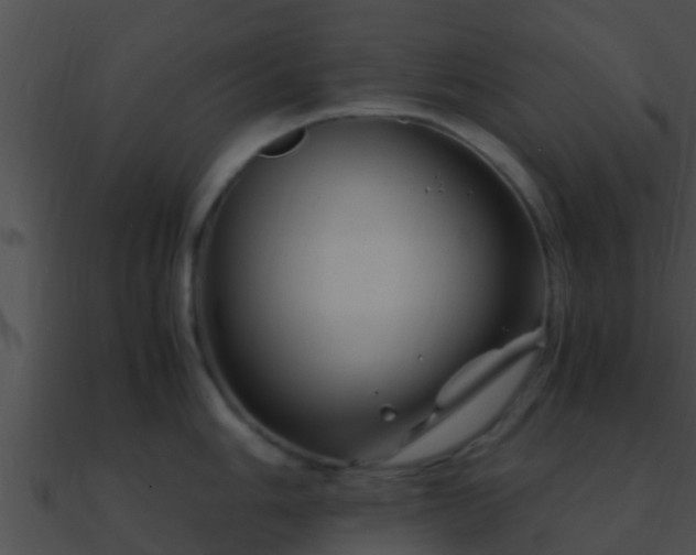 X0000090861006200708030944