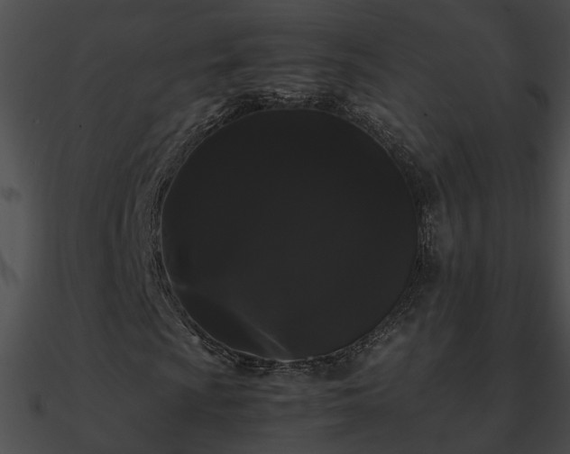 X0000090861009200708030943