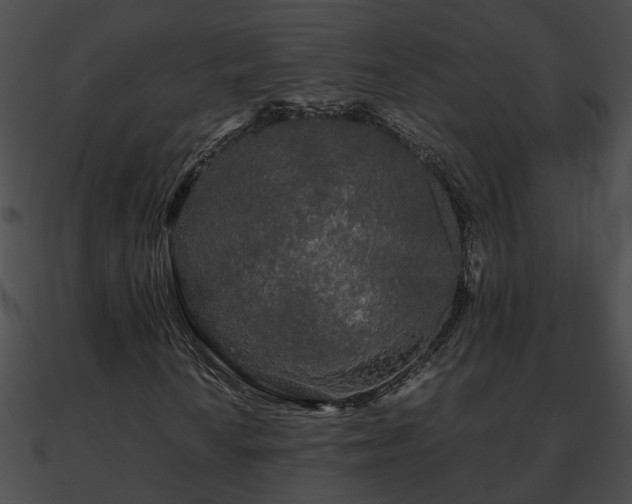 X0000090861010200708030943