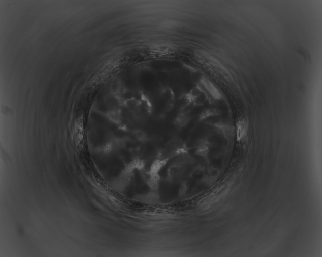 X0000090861011200708030943