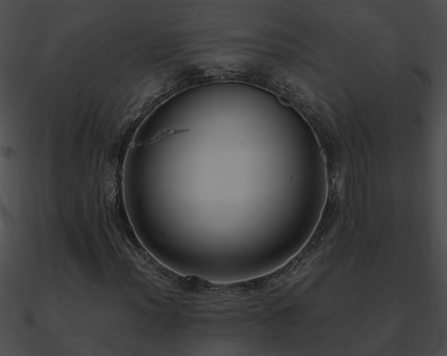 X0000090861012200708030943