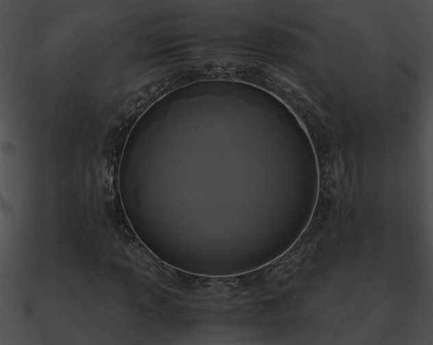 X0000090861013200708030943
