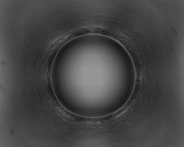 X0000090861014200708030943