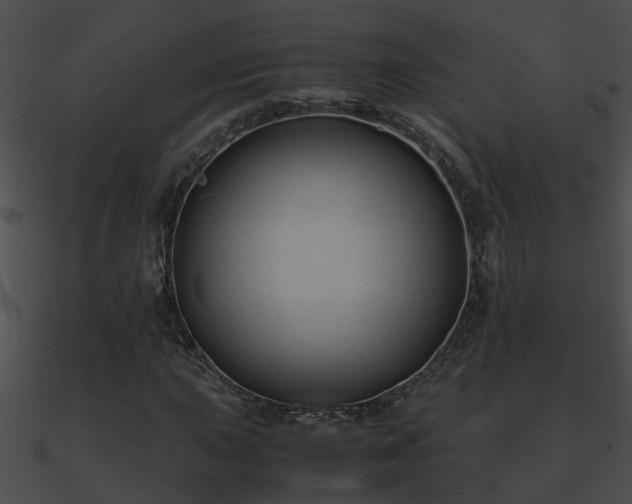 X0000090861015200708030943