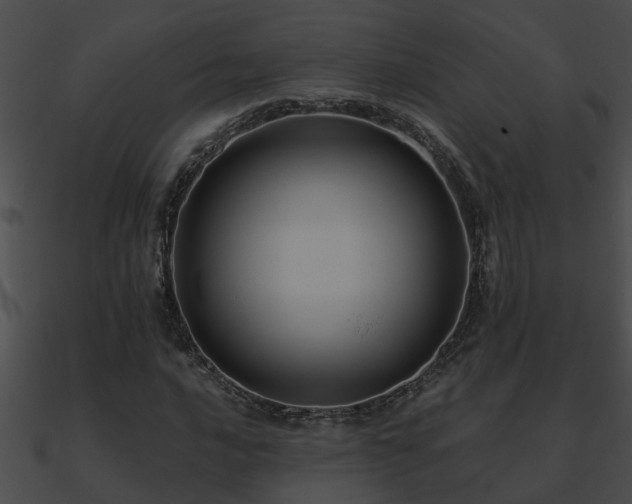 X0000090861016200708030943