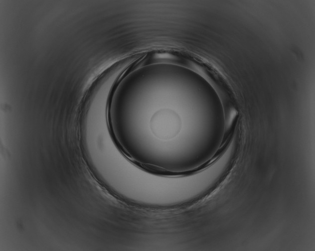 X0000090861018200708030943
