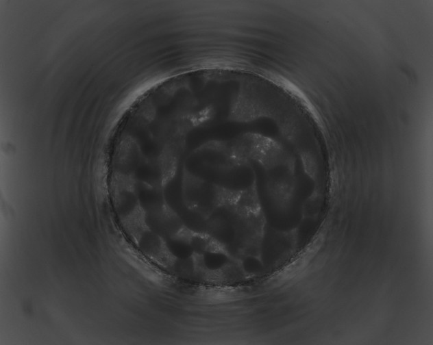 X0000090861019200708030943