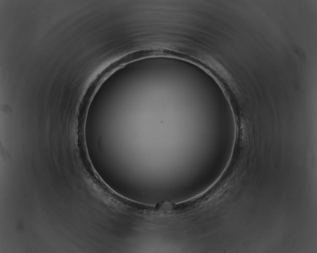 X0000090861020200708030943