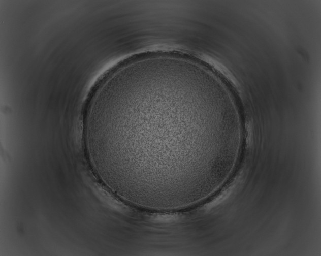 X0000090861021200708030943
