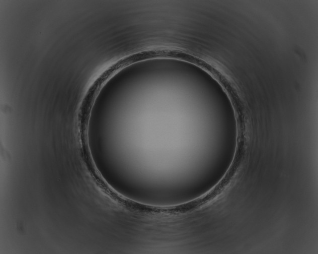 X0000090861022200708030943