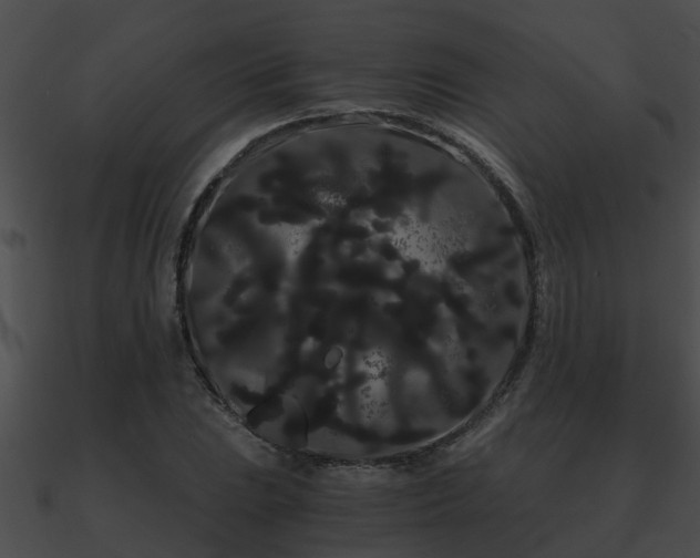 X0000090861023200708030943