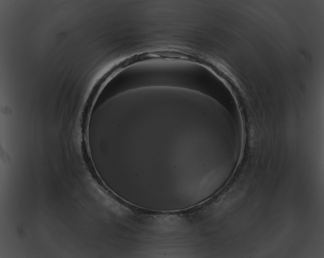 X0000090861024200708030943
