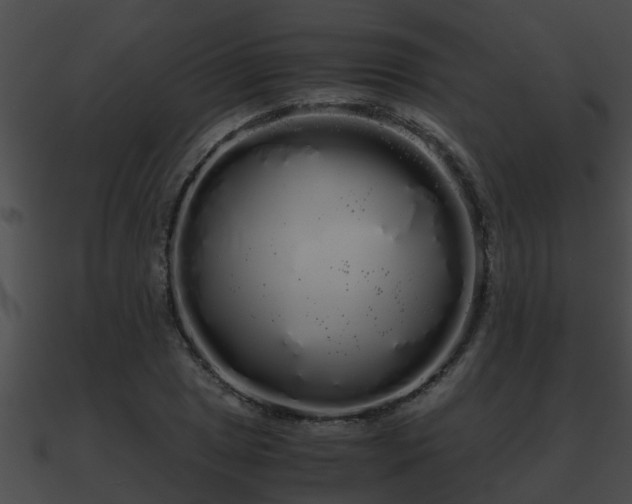 X0000090861025200708030943