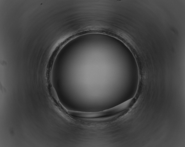 X0000090861026200708030943