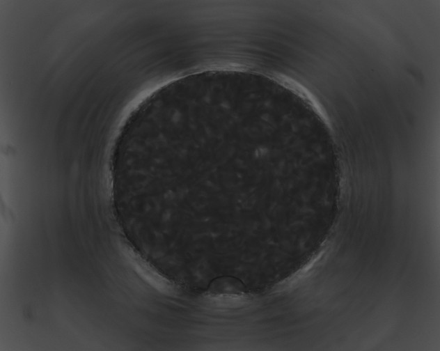 X0000090861027200708030943