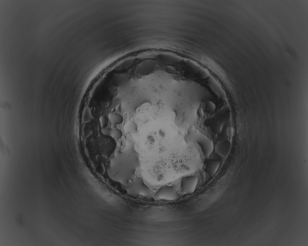 X0000090861028200708030943