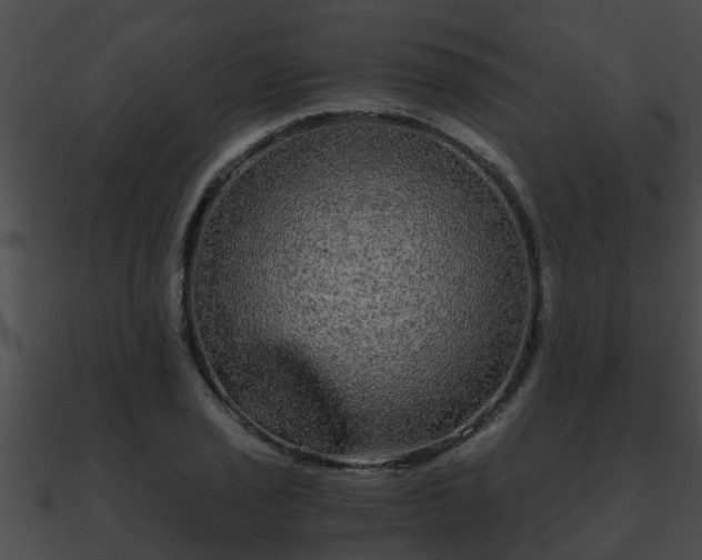 X0000090861029200708030943