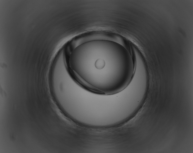 X0000090861030200708030943