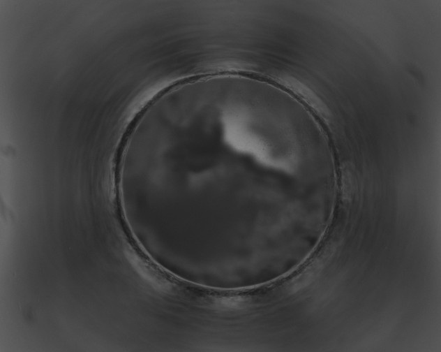 X0000090861031200708030943