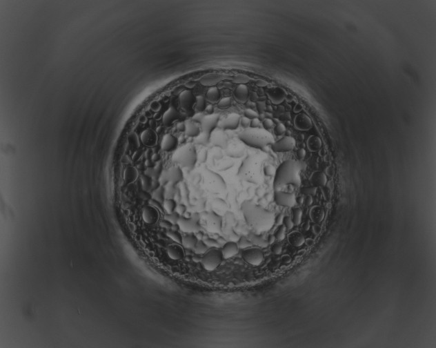 X0000090861032200708030943