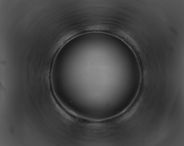 X0000090861033200708030943