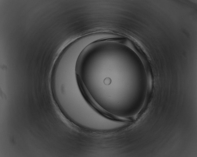X0000090861034200708030943