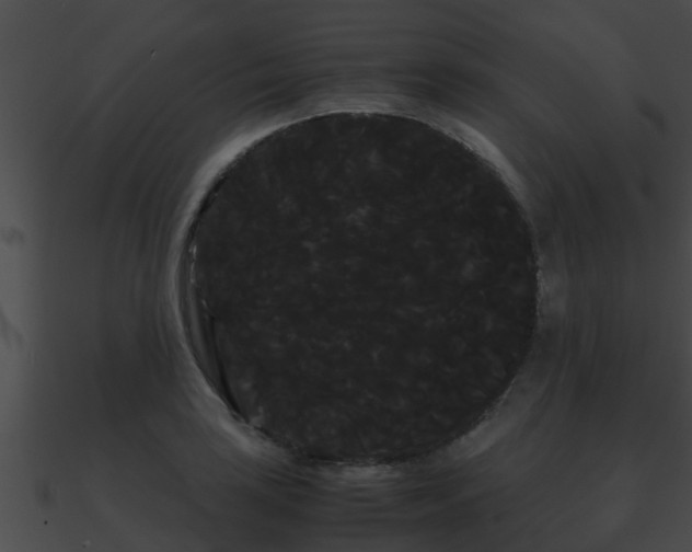 X0000090861035200708030943