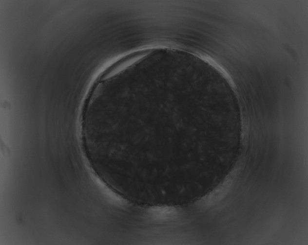 X0000090861037200708030943