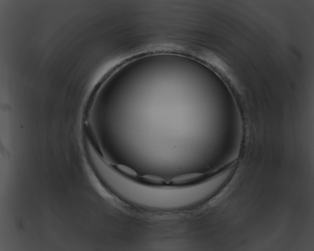 X0000090861038200708030943