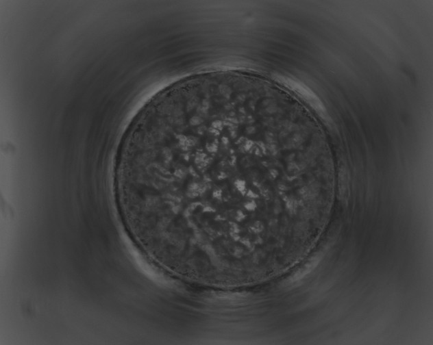 X0000090861039200708030943