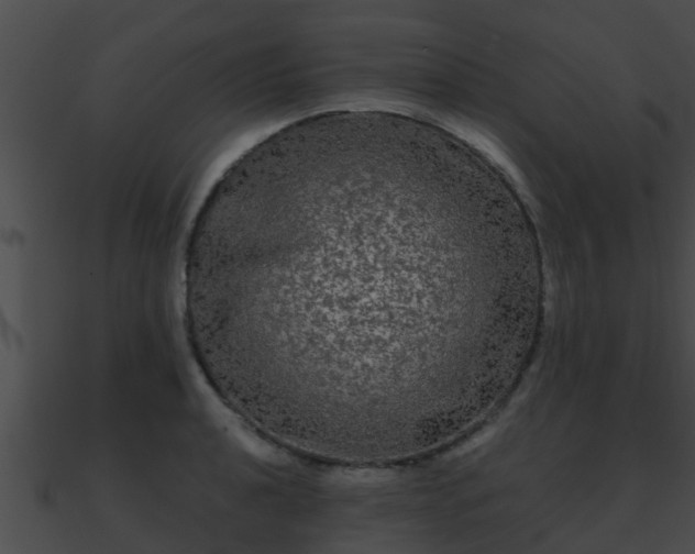 X0000090861040200708030943