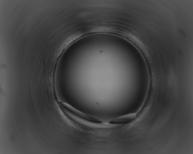 X0000090861041200708030943
