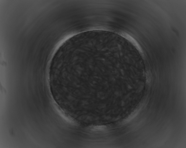 X0000090861043200708030943
