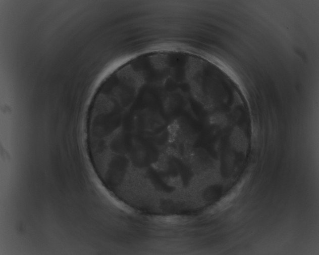 X0000090861045200708030943