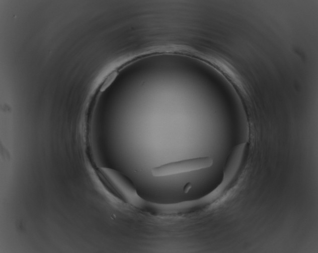 X0000090861046200708030943