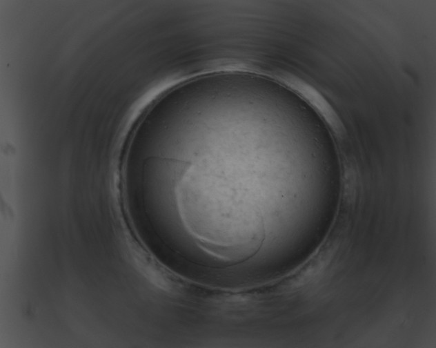 X0000090861051200708030944