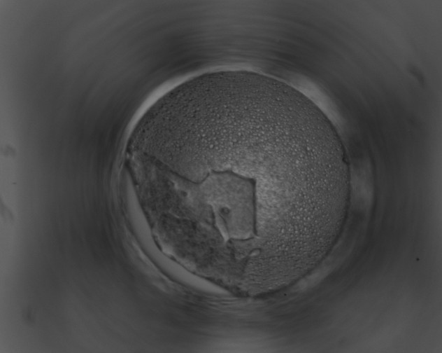X0000090861052200708030944