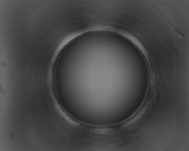 X0000090861053200708030944
