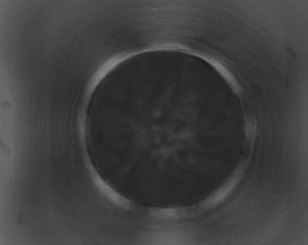 X0000090861054200708030944