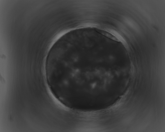 X0000090861055200708030944
