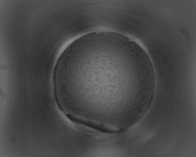 X0000090861056200708030944