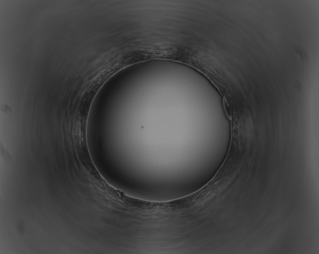 X0000090861058200708030943