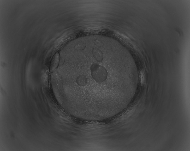 X0000090861059200708030943