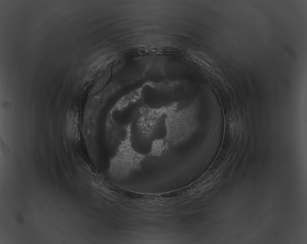 X0000090861060200708030943