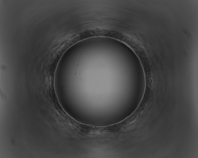X0000090861061200708030943